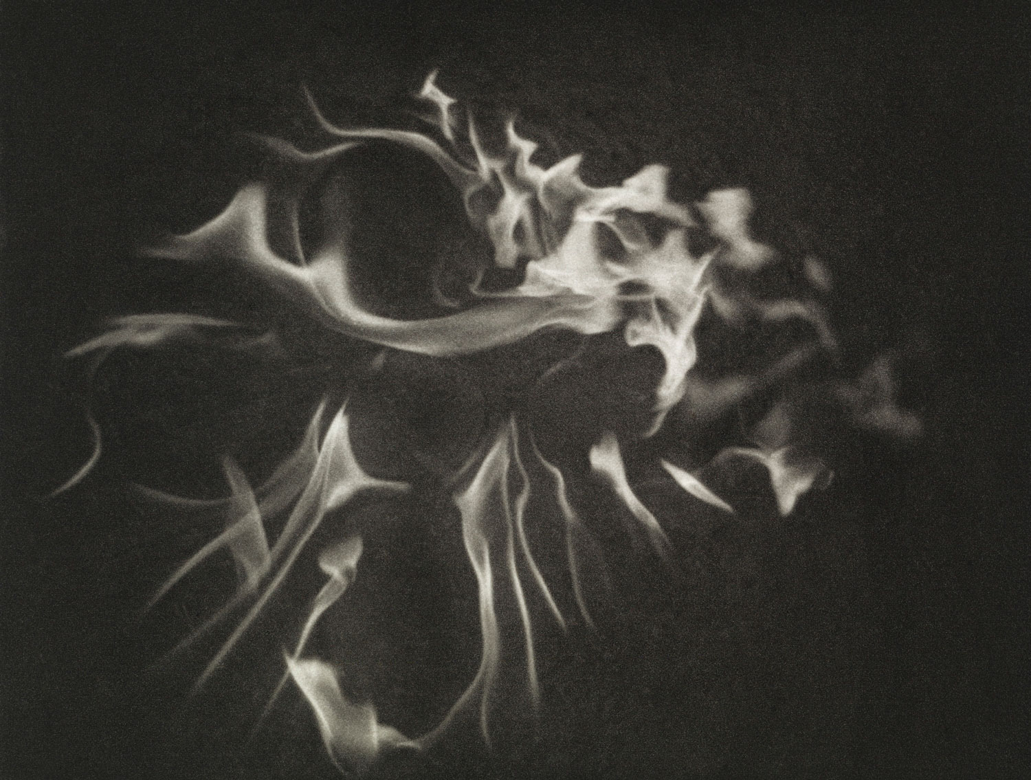 pyre-xi-print-by-bernice-ficek-swenson-conrad-press-artist