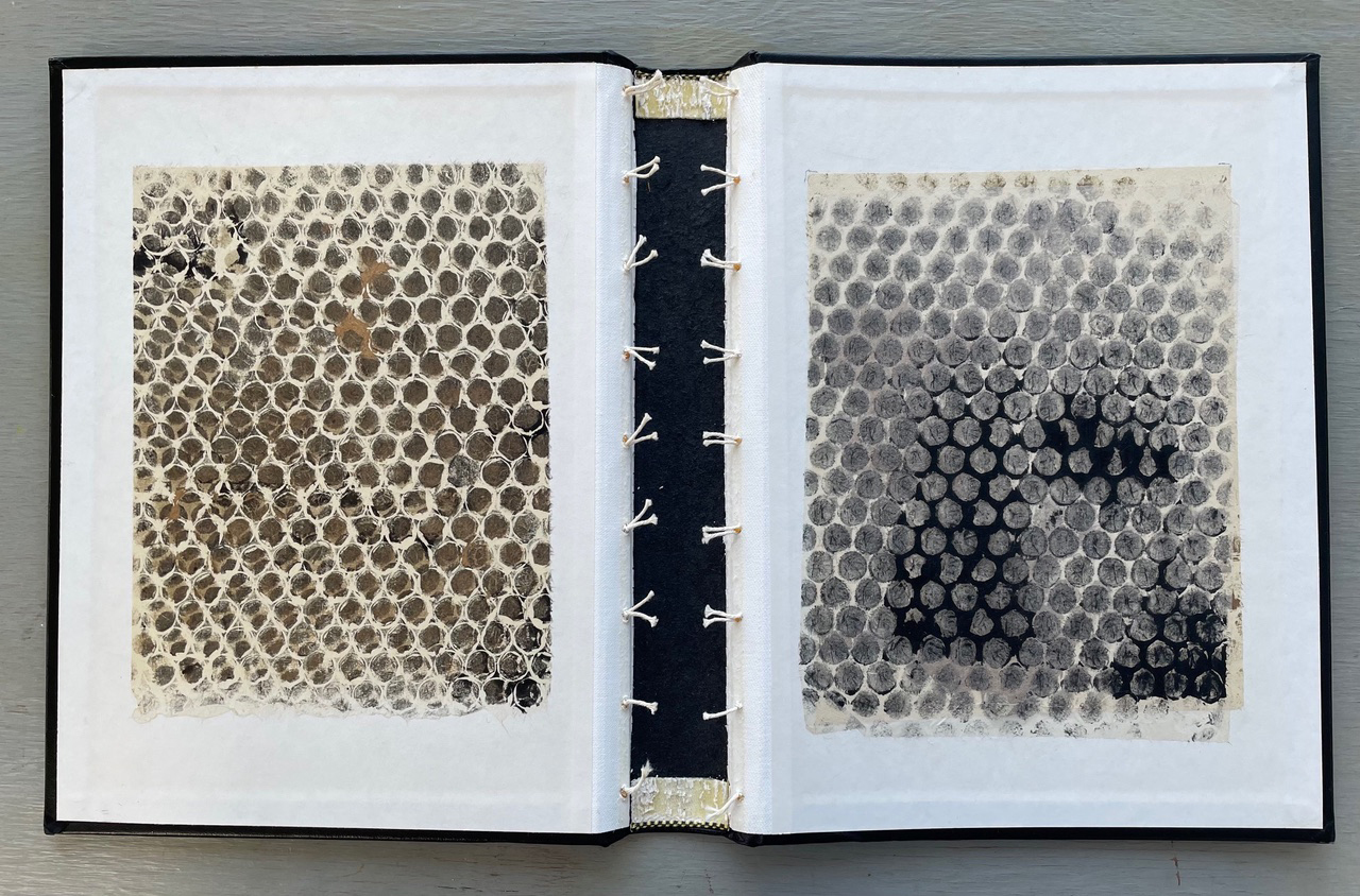 propedia-bubble-wrap-print-by-leslie-sutcliffe-conrad-press-printmaker-artist