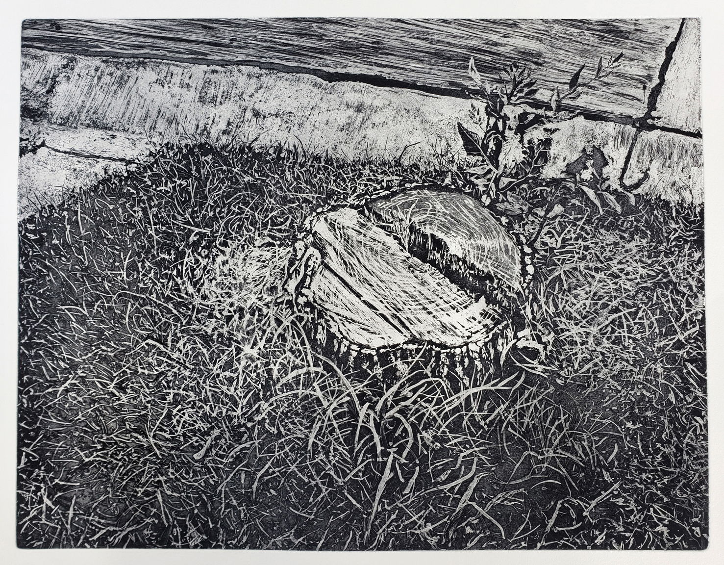riverwest-stump-print-by-todd-mrozinski-conrad-press-printmaker-artist