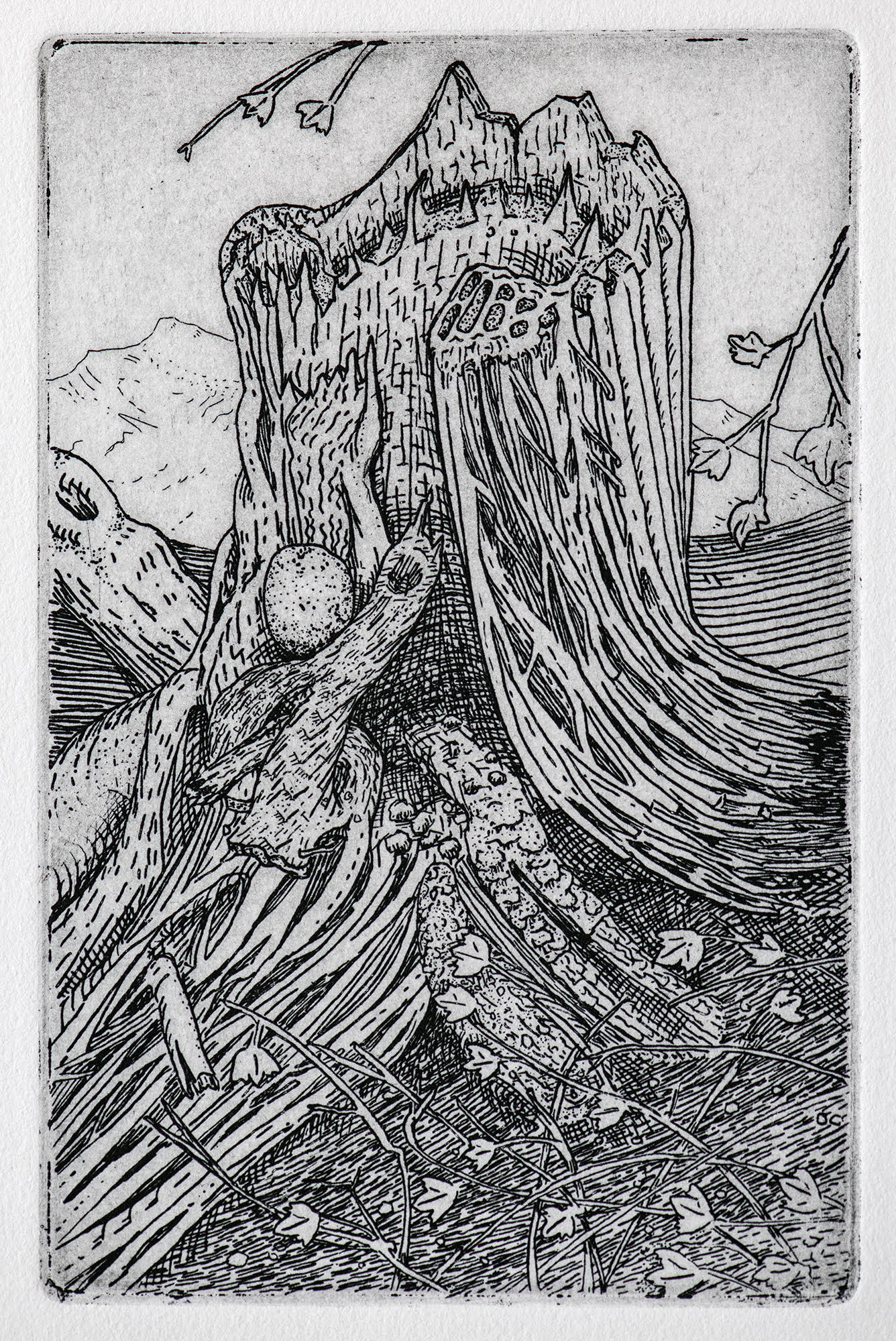 tree-ruin-1-print-by-stephen-goddard-conrad-press-printmaker-artist