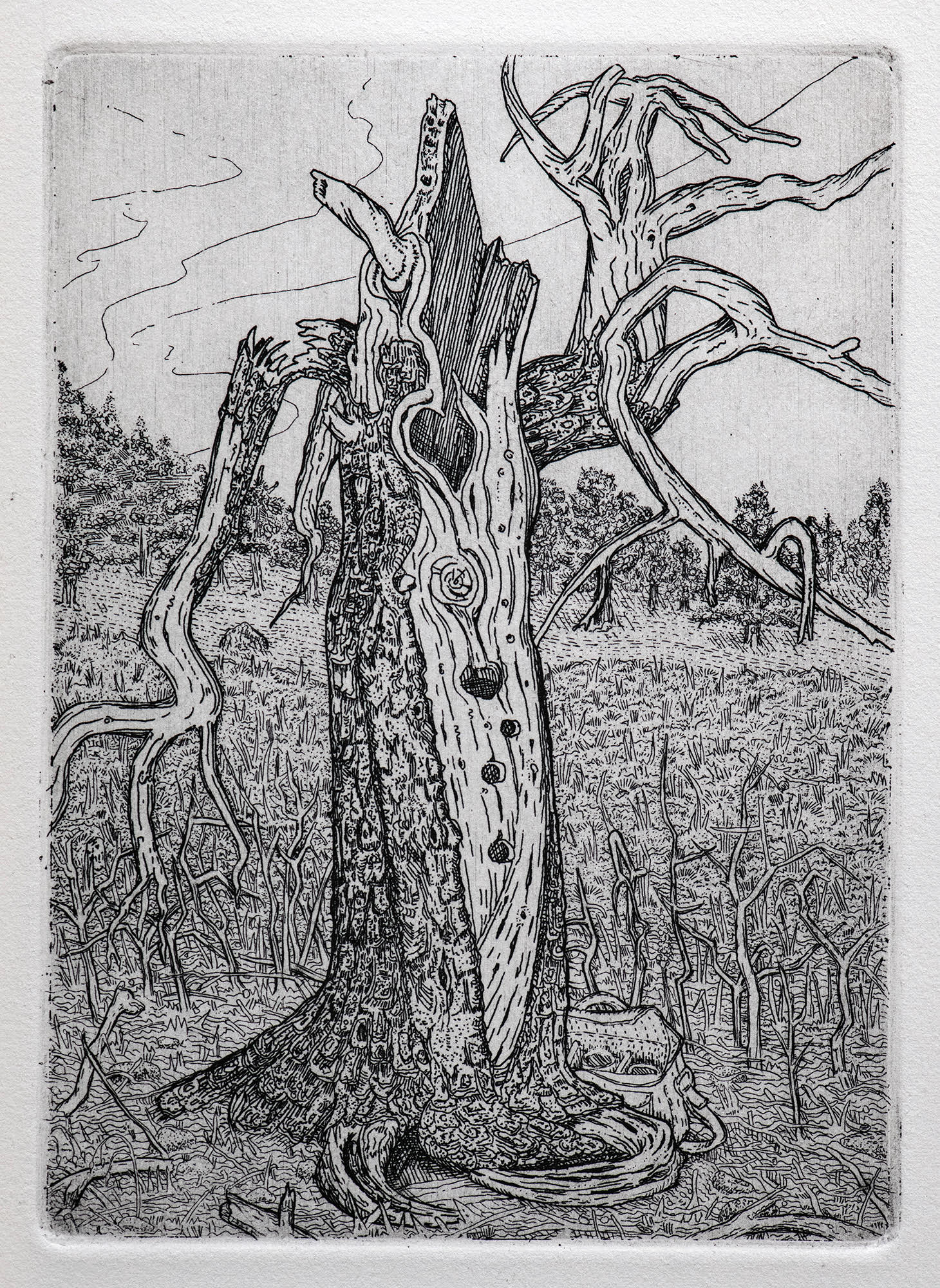 tree-ruin-9-print-by-stephen-goddard-conrad-press-printmaker-artist